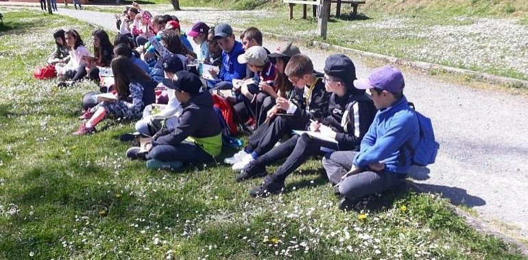 Más de 1.000 escolares en la XII edición del programa ambiental de la Fundación Oso 
