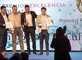 ASTURIANA: Grupo Meforma, Premio Excelencia Educativa Nacional