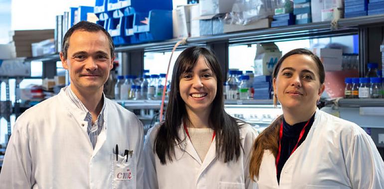 Adiponectina, la hormona que protege a las mujeres del cáncer de hígado