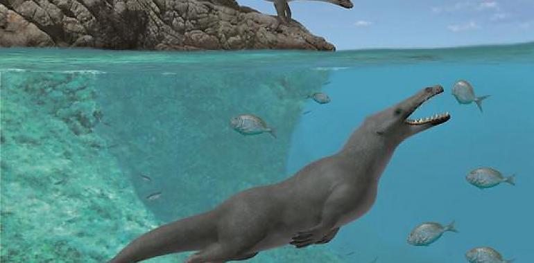 La ballena de cuatro patas que surcó los mares