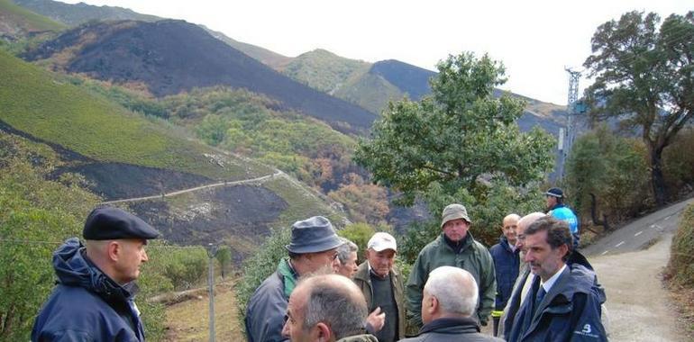 Piñón visita las zonas afectadas por el incendio forestal, extinguido, de Allande