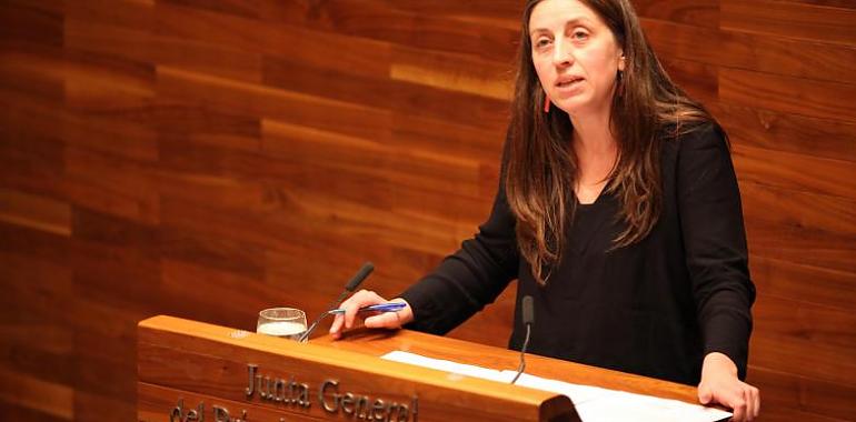 Podemos Asturies presunta su candidatura para las elecciones de mayo