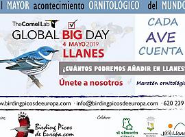 Llanes acoge mañana el Global Big Day, acontecimiento ornitológico mundial 