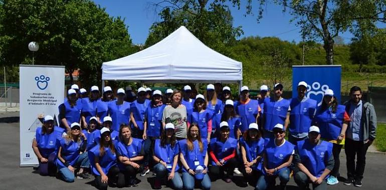 Voluntarios ovetenses al socorro de perros y gatos