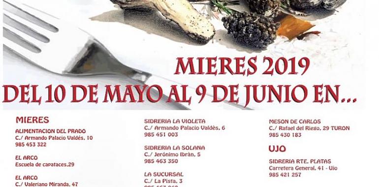 Jornadas Gastronómicas de las setas en Mieres