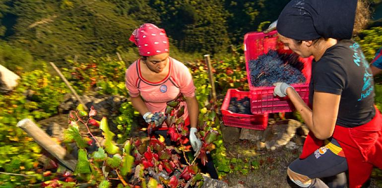 Fademur: “El Decenio de la Agricultura Familiar debe escribirse en femenino”