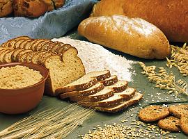 Un prometedor gluten apto para celiacos