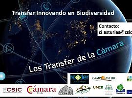 Transfer innovando en biodiversidad en Cámara Oviedo