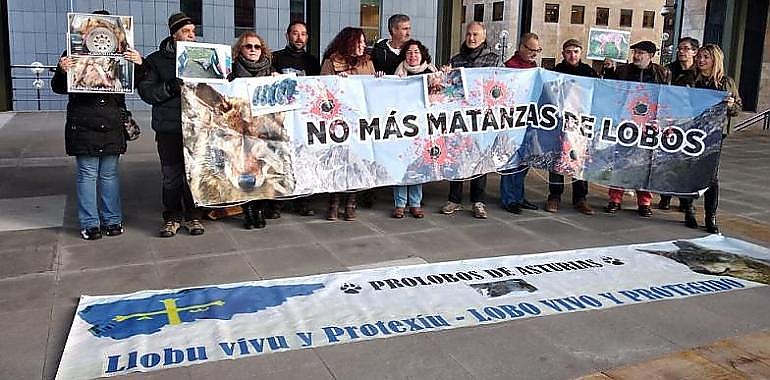 El Gobierno protegerá el lobo al sur del Duero