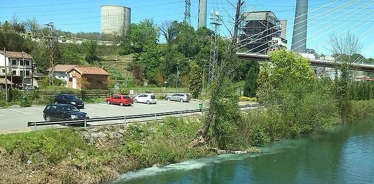 CHC acomete la limpieza del río Barrea en el concejo de Ribera de Arriba