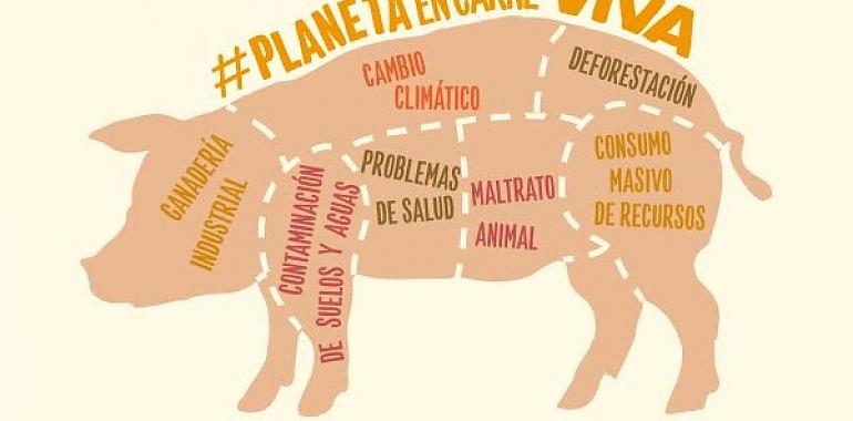 GREENPEACE: La ganadería industrial está destruyendo el planeta