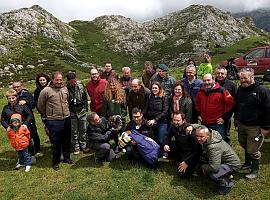Tres nuevos quebrantahuesos en la familia asturiana de Picos