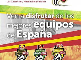 Los Campeonatos Nacionales de MiniFútbol tendrán lugar el 28, 29 y 30 de junio en Oviedo