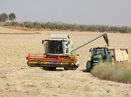 Madrid prohíbe todas las labores agrícolas el fin de semana en una decisión sin precedentes