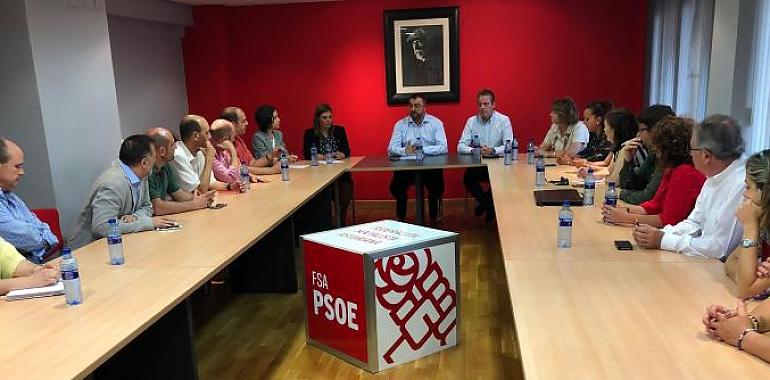 Dolores Carcedo, nueva portavoz del PSOE en el Parlamento de Asturias