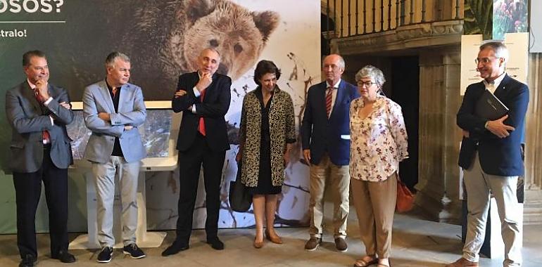 ‘Vivir con osos’ ya se puede en la Colegiata San Juan Bautista de Gijón