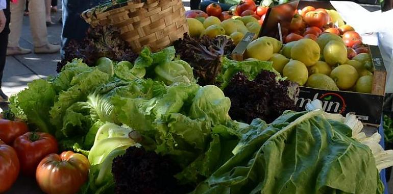 Llanes en agosto: Quesos, Asturcones y Huerta