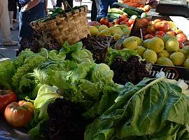 Llanes en agosto: Quesos, Asturcones y Huerta