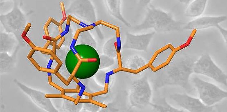 Científicos del CSIC proponen ‘jaulas’ moleculares para destruir células cancerosas de forma selectiva