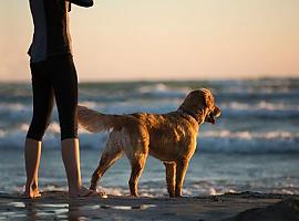 En vacaciones, también responsable con tus mascotas