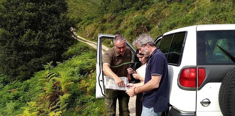 Llanes inicia el Plan Silvopastoril y de ordenación del monte Moreda