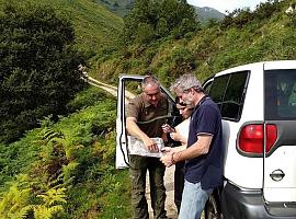 Llanes inicia el Plan Silvopastoril y de ordenación del monte Moreda