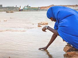 La comida despilfarrada acentúa el cambio climático