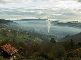 Alerta de contaminación por el cancerígeno benceno en Oviedo 