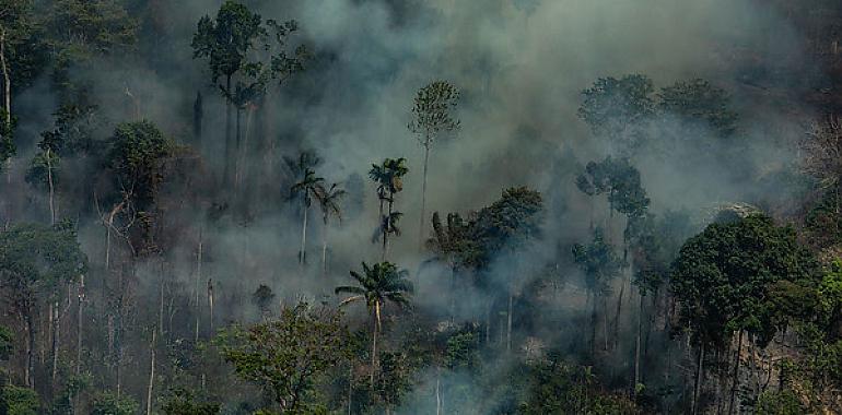 Greenpeace sobre la cumbre del G7: "Promesas pero poca acción vinculante contra la crisis climática"