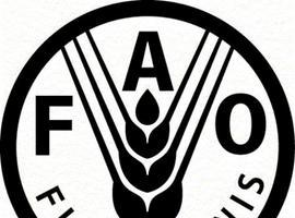 La FAO cooperará con Irán en la restauración de las selvas