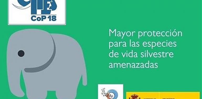 La COP 18 de CITES aprueba fuertes restricciones para evitar el comercio de elefantes 