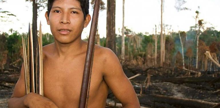 Indígenas califican los incendios de la Amazonia como “una plaga” aterradora