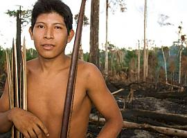 Indígenas califican los incendios de la Amazonia como “una plaga” aterradora