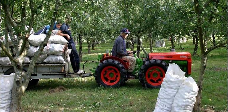 FORO apoya fiscalidad diferenciada para la zona rural asturiana