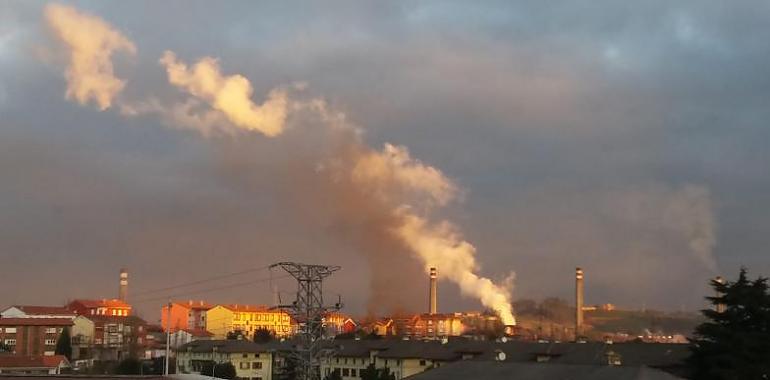 El Colectivo Ecologista de Avilés exige cuidado con las baterías de coque de Avilés