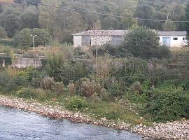 Ecologistas piden acabar con la cría de esturiones en la cuenca del Sella