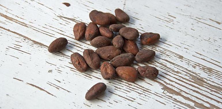 VII Congreso Internacional de Enfermería Pediátrica y XXIV Jornadas Nacionales en Gijón: El cacao natural, un aliado en el desayuno de los niños