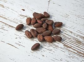 VII Congreso Internacional de Enfermería Pediátrica y XXIV Jornadas Nacionales en Gijón: El cacao natural, un aliado en el desayuno de los niños