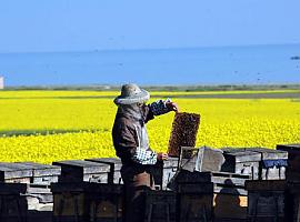 Agricultura convoca ayudas a programas de formación dirigidos a los profesionales del medio rural