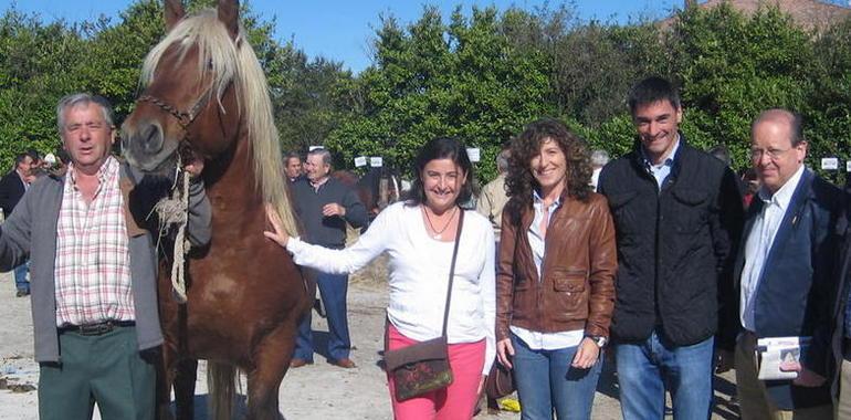 Visita de los candidatos de FORO a la Feria de Otoño en Nava