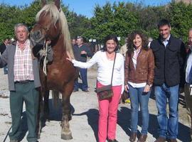 Visita de los candidatos de FORO a la Feria de Otoño en Nava