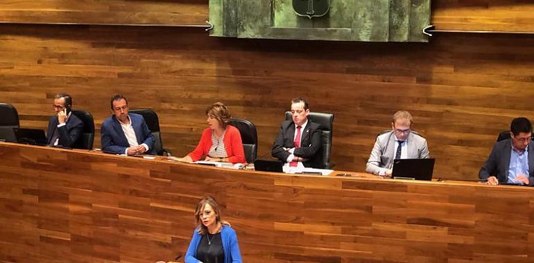 IU Asturias se solidariza con la plantilla de Vesuvius y reclama un cambio legislativo