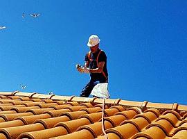 Llanes elimina 55 nidos de gaviota patiamarilla del casco urbano