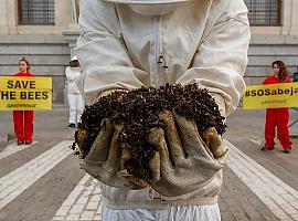El Parlamento Europeo exige medidas más estrictas para la protección de las abejas