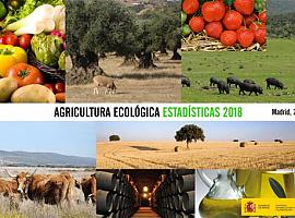 El sector ecológico se consolida en España