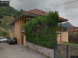 Las visitas a la Casa del Oso caen un 17,5% este verano