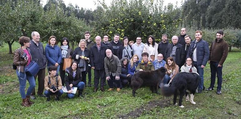 La "Experiencia de la Cosecha" desvela los secretos de la DOP Sidra de Asturias
