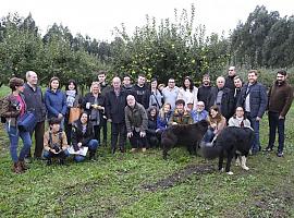 La "Experiencia de la Cosecha" desvela los secretos de la DOP Sidra de Asturias