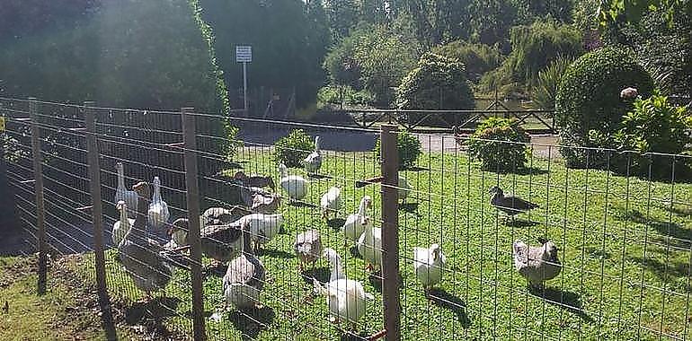 TEMPORAL: Los campos de golf de Gijón y el parque Isabel la Católica continúan cerrados al público