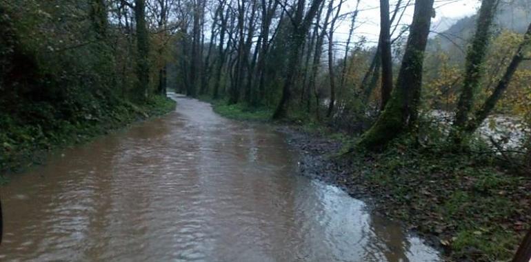 Carreteras cortadas al desbordarse los ríos Nalón y Trubia